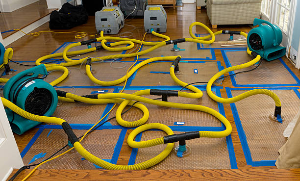 Professional Crawl Space Water Removal technician working in Center Conway, NH